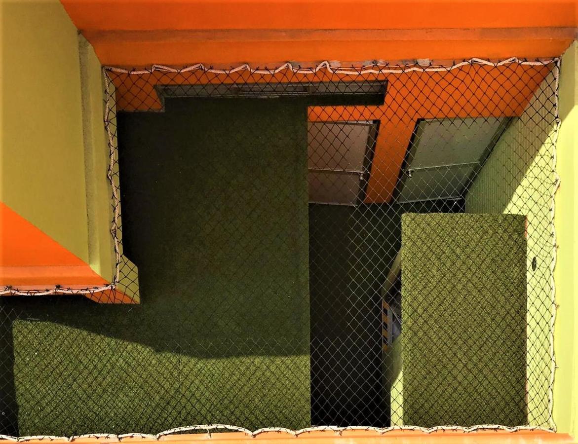 Happy Tree Hostel Peru ลิมา ภายนอก รูปภาพ